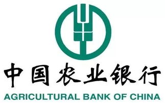 299元搶3d硬金福袋手串 這個(gè)周末不來金鷹你就虧了