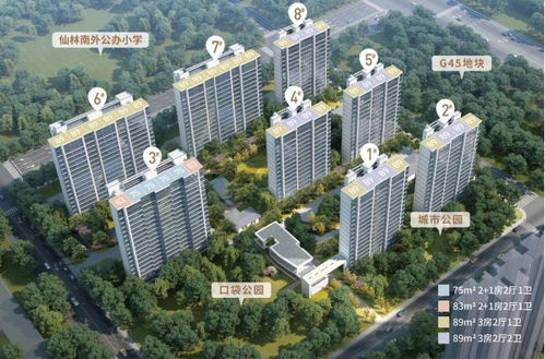 2023年南京取消限購，金鷹置業投資價值如何？