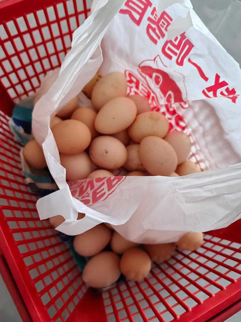 早上送兩單雞蛋,要吃土雞蛋的看過來,純五谷雜糧喂養,同城可配